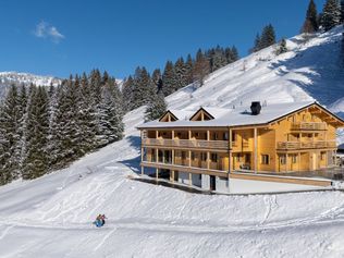 Berghotel Wald und Wiesn, Balderschwang, Hotelentwicklung Oberallgäu, Hotelsanierung, Tagungshotel, Wellnessangebot, Matthias Lenz, Tourismus Allgäu, energetische Modernisierung