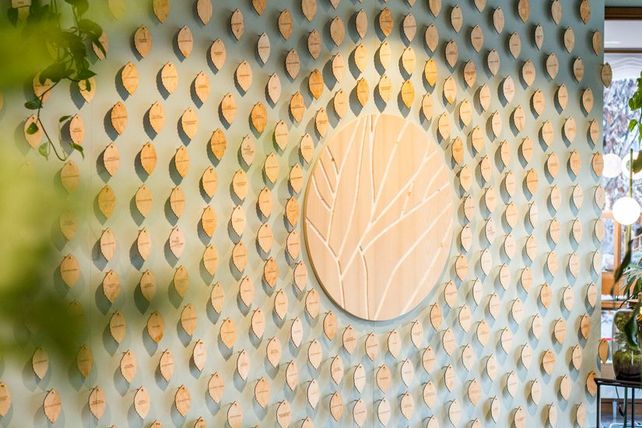 Hotel Luise, Erlangen, Ben Förtsch, Nachhaltigkeit, Klimapositiv, Öko-Hotellerie, Klimaneutral, Wall of Change, Nachwachsende Hotelzimmer, Tiny Forest, EU-Ecolabel, Reuse Reduce Recycle