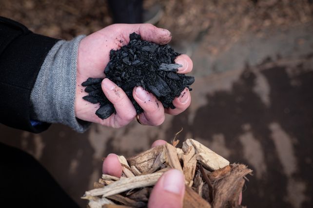 Pflanzenkohle Weinberg 