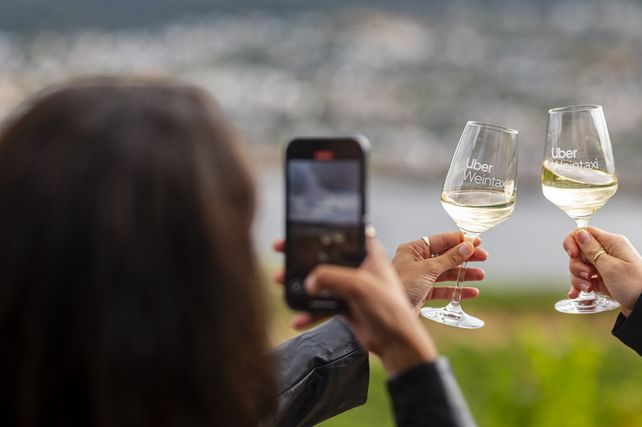 Uber Weintaxi, Uber Frankfurt, Rheingau, Weintaxi Rheingau, Weingüter Rheingau, Familie Allendorf, Weingut Barth, Georg Breuer, Taxi Frankfurt, Tagesausflug Rheingau, Weinlese 2026