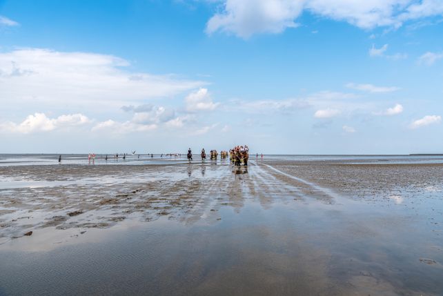 Wattenmeer