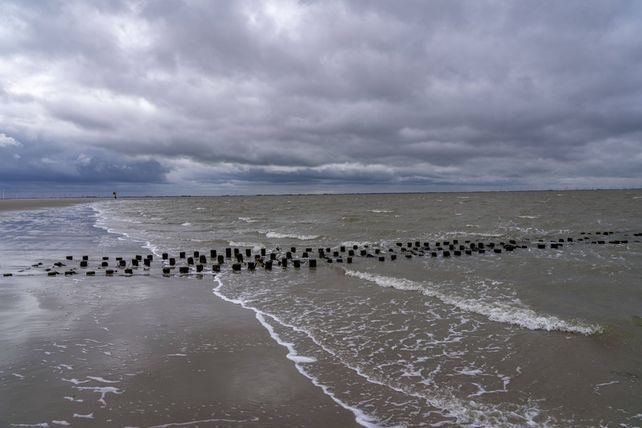 Ostfriesische, klimaneutral 