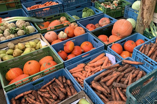 Die Gemeinschaft e.V.