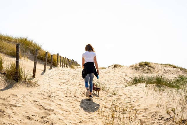 Urlaub mit Hund