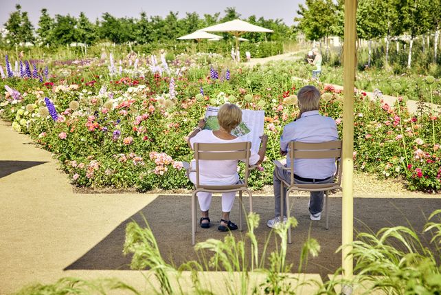 Bundesgartenschau, Buga, Mannheim, Hotels