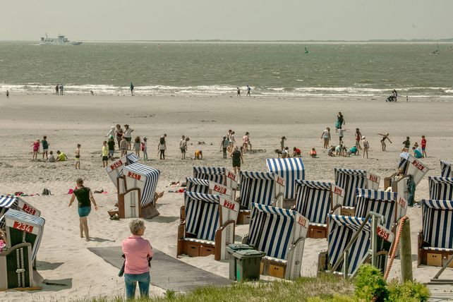 Sommersaison