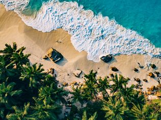 Fregate Island, Wiedereröffnung, Seychellen, Neubau, Artenschutz, Nachhaltigkeit, The Owner’s Estate, Plantation House, Selbstversorgung, Aldabra-Riesenschildkröten, Seychellendajal, Herbst 2026.
