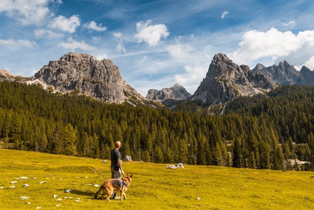 Südtirol, Hundesteuer, Touristen, Urlauber, Hunde-DNA, Tagesgebühr, Luis Walcher, HGV, Bozen, Reisende