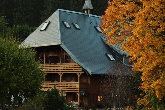 Schluchsee Gastronomie, Mühle Schluchsee Restaurant, Hotel Auerhahn Brasserie Barbara, Schwarzwald Kulinarik, regionale Küche Südschwarzwald, Fabian Obergfell, Yann Bosshammer