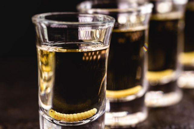 Wurm, Agavenschnaps, Mezcal