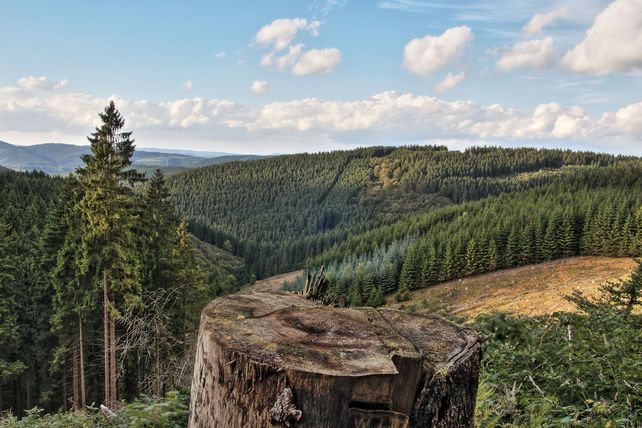 Wanderwege Deutschland