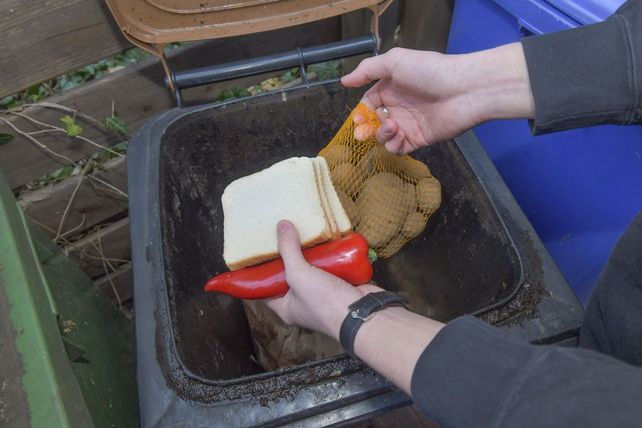 Lebensmittelverschwendung