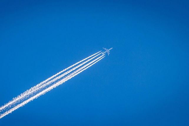 Rückholflug, Kosten