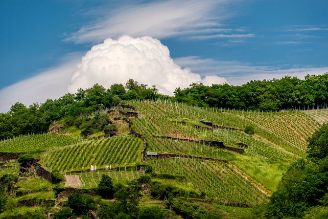 Deutschen Weinbaugebiete