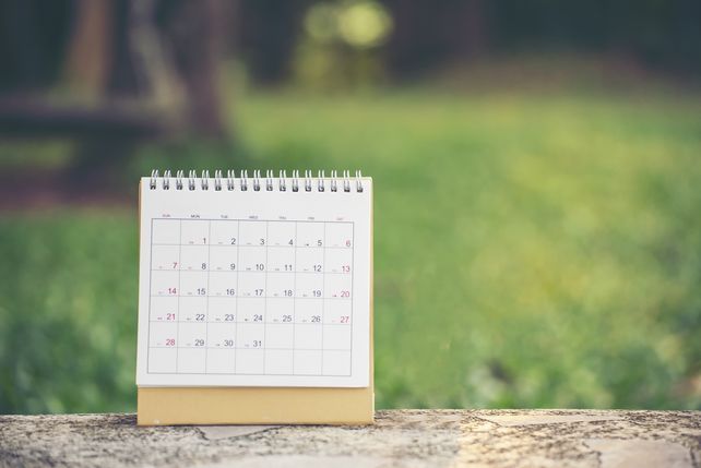 Sommerferien Termine