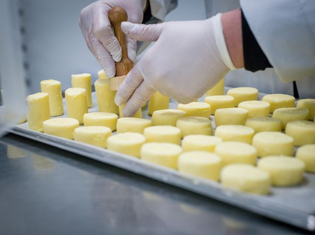 ButterBoyz, Regen Bayerischer Wald, Buttermanufaktur, handgeknetete Butter, Sauerrahm-Fassbutter, Moritz Oswald de Mesquita, Fabio Cestari de Mesquita, Feinkost Käfer, Rungis Express, Gastronomie Deutschland, Hotelzulieferer, Bioland Käserei, Fichtenspitzen Butter, Steinpilz Butter, Butter Spezialitäten, Feinkosthandel, Hotellerie, handwerkliche Lebensmittelproduktion