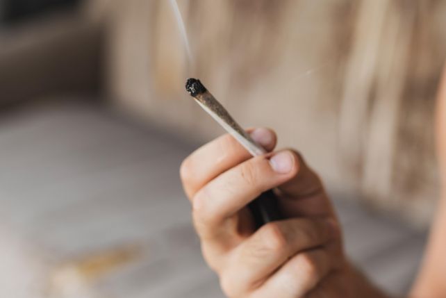 Sonnenhotels, Hotelkette, Cannabis