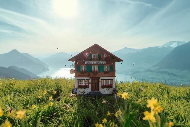 Hotels Insekten Schweiz