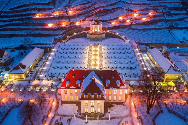 Digitalisierung, Weinbau