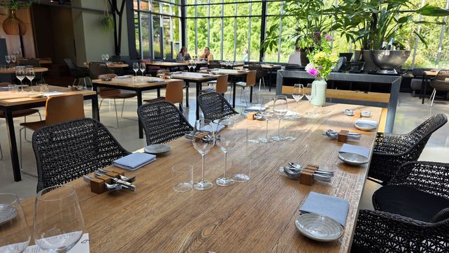 Gastronomie, Trendbericht 2026/2027, Pierre Nierhaus, Gastgewerbe, Künstliche Intelligenz, Systemgastronomie, Marktanalyse, Gastfreundschaft, Branchennews, Verpflegungsinfrastruktur