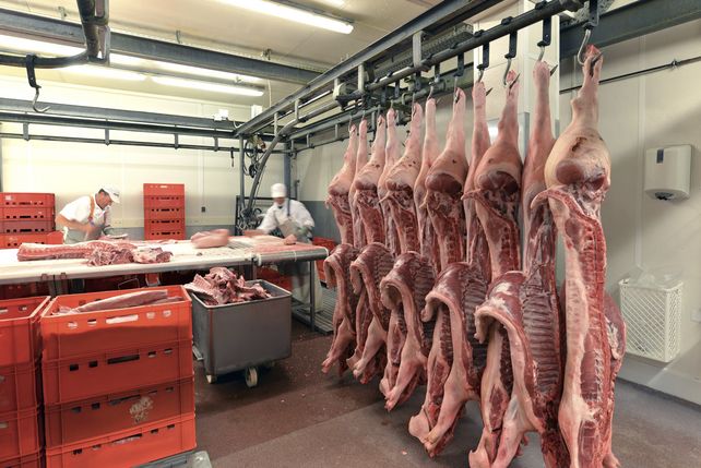 Fleisch, Produktion