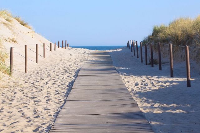 Tourismusbarometer Mecklenburg-Vorpommern