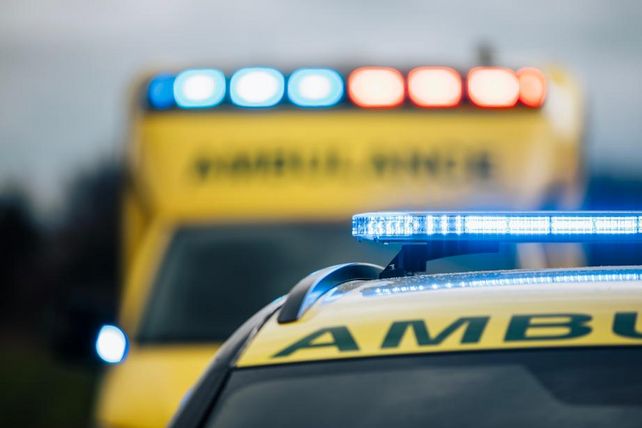 Kellner Mozzarella Italien