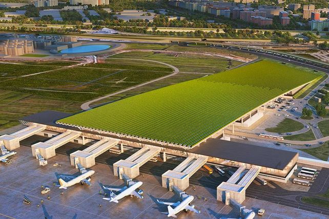 Florenz, Flughafen, Weinberg, Wein, Dach