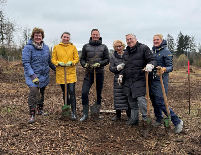 Ringhotels, Roteichen, Bäume