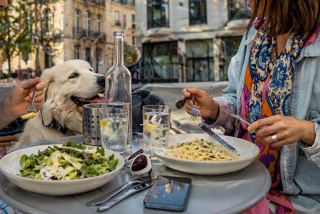 OpenTable, Außengastronomie, Biergarten, Restaurantterrasse, Public Viewing Gastronomie, hundefreundliche Restaurants, Sommer 2026, Restaurantbesuch Deutschland, Außengastronomie Umfrage, Gastronomietrends Deutschland