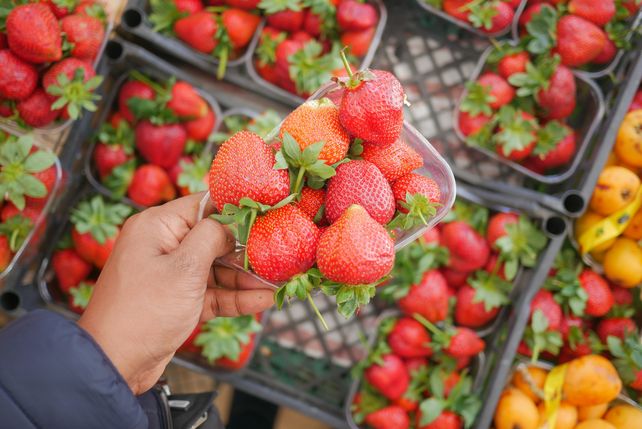 Erdbeeren Preis