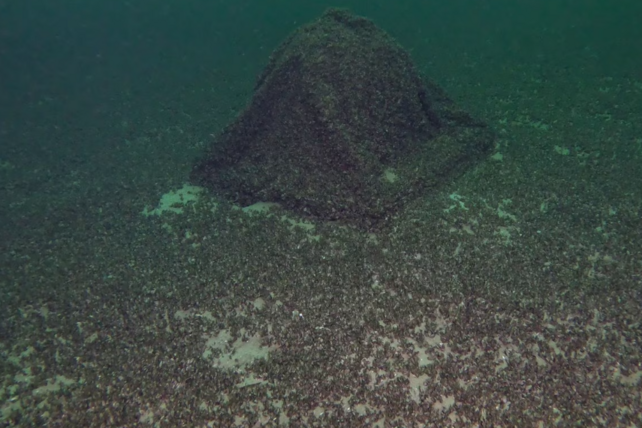 Bodensee, Gin-Kugel, Silvan Paganini, Romanshorn, Schiffsbergeverein, Seepolizei, Tauchroboter, Bergung, Edelstahlbehälter, Quaggamuschel, Jenny Fisch