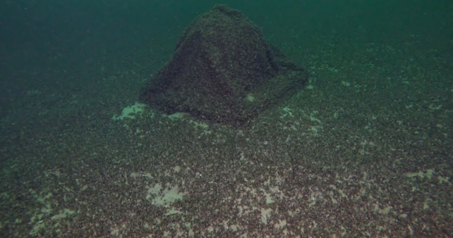 Bodensee, Gin-Kugel, Silvan Paganini, Romanshorn, Schiffsbergeverein, Seepolizei, Tauchroboter, Bergung, Edelstahlbehälter, Quaggamuschel, Jenny Fisch